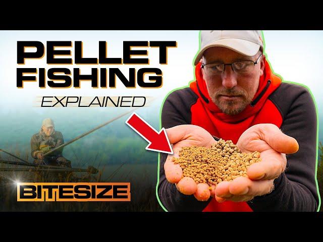 Pellet Fishing For F1's & Carp with Andy Bennett | Guru Bitesize #039