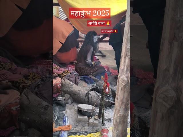 Mahakumbh mai Naga Sadhu kai Darshan #nagasadhu #aghoribaba #mahakumbhmela2025 #mahakumbh #paryagraj