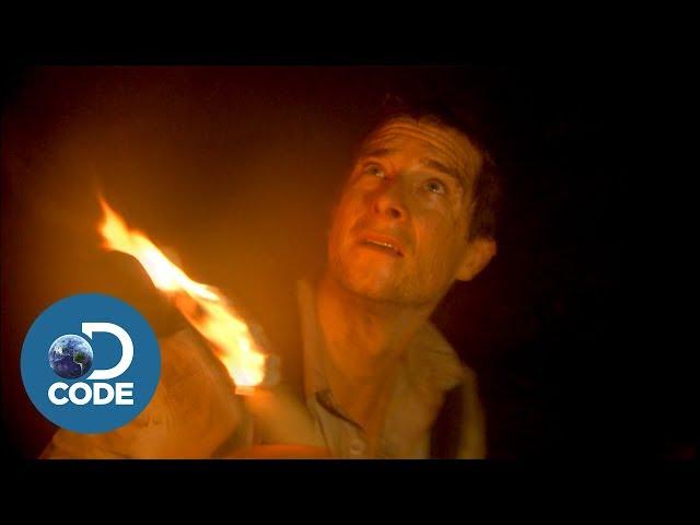 Bear Grylls in Borneo Jungle | Man vs Wild (2/6)