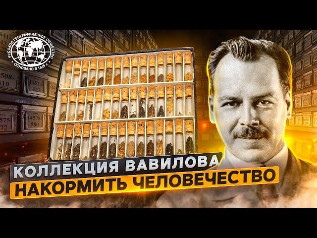 Коллекция Вавилова. Накормить человечество | @rgo_films