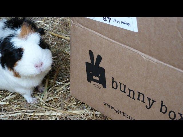 BunnyBox Review | Unboxing Video