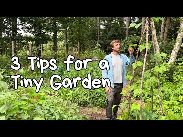 Growing Food In A Tiny Garden Using These 3 Permaculture Gardening Tips