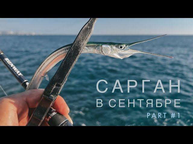 Сарган на спиннинг в сентябре. Part #1. Рыбалка на Черном море.