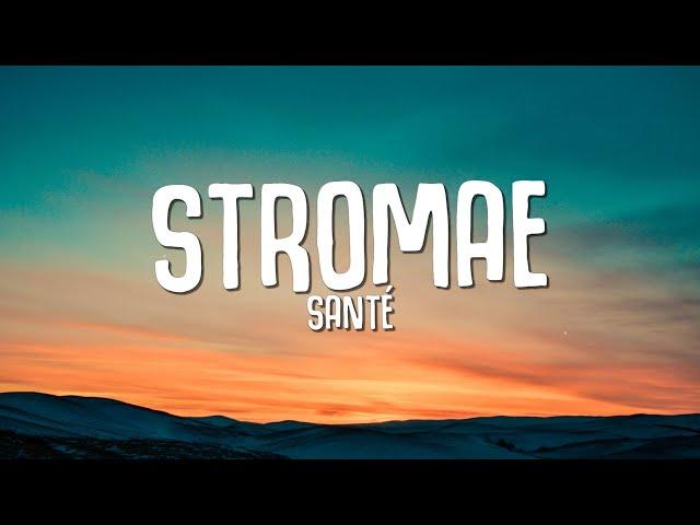 Stromae - Santé (Paroles / Lyrics)