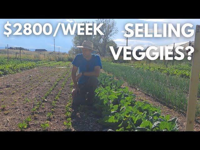 How to make $2800/week selling vegetables | 7 Crops that make $$$