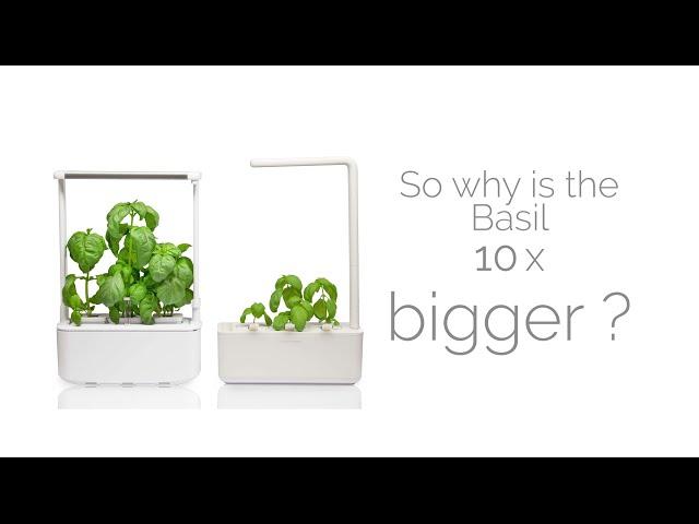 Click&Grow Smart Garden 3 VS  Microgarden Smart Garden