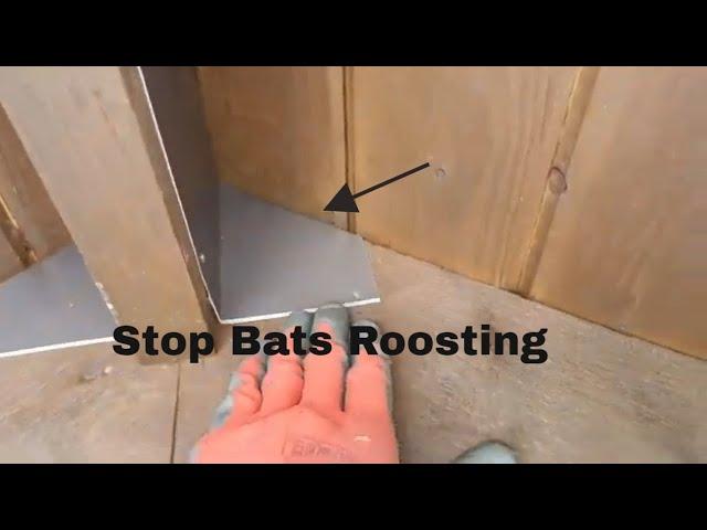 Simple Trick to Stop Bats Roosting (and Pooping) Under Porch Roof