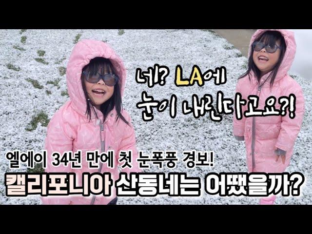  캘리포니아 덮친 눈폭풍! 눈 내리는 산동네 사는 3살 아이 일주일 브이로그 | First Blizzard Warning in LA since 1989!