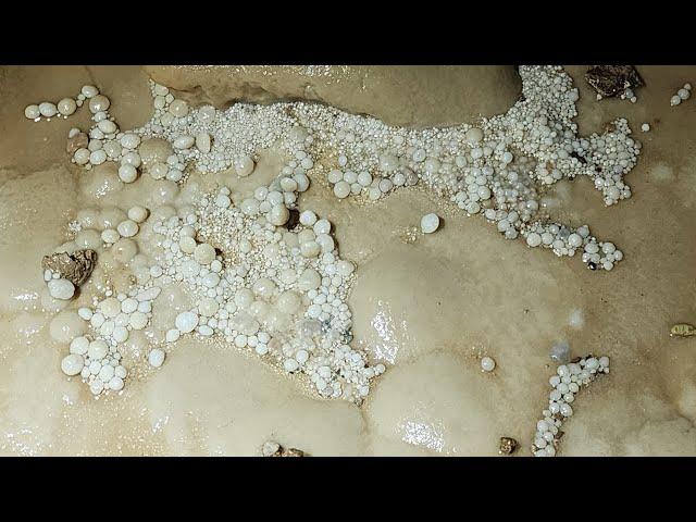 Ancient Pearls Found In A Massive 500Ft Deep Cave