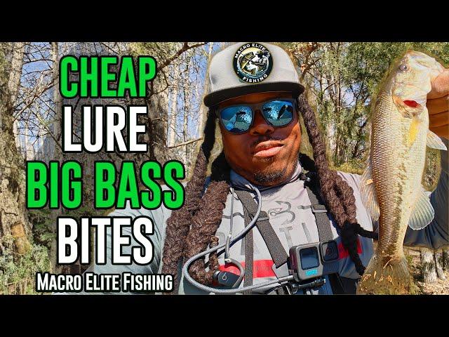 Cheap Lure BIG BASS BITES – IT GETS BIT