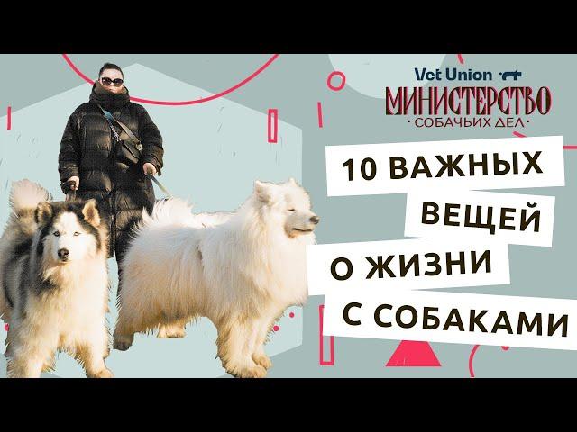 10 фактов о собаках и жизни с ними: опыт Маргариты, Лёвы и Миши