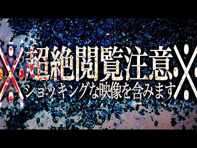 【※戦慄映像】吐き気など催しても一切責任を負いかねます。【※モザイク無し】本当にヤバいので心臓がムキムキな人だけご覧下さい！【Sゴルフクラブ】