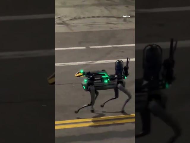 Denver police unveil Colorado’s first robot dog