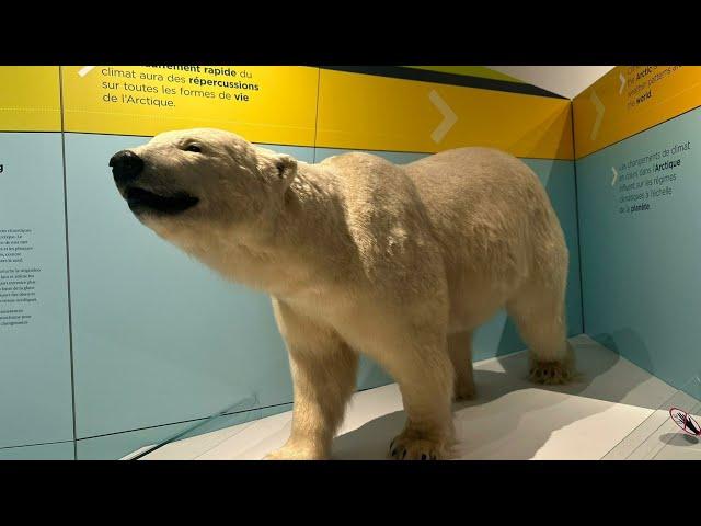 Canadian Museum of Nature Ottawa/Musée canadien de la nature, Planetarium Rio Tinto Alcan Montreal.