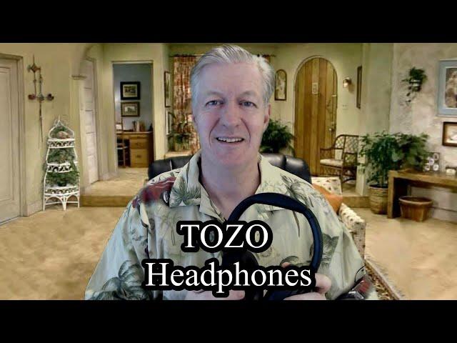 TOZO Adaptive Hybrid Headphones