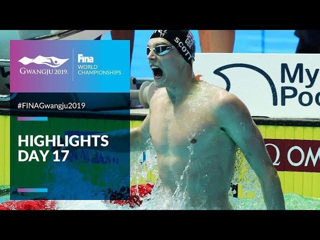 Highlights - Day 17 | FINA World Championships 2019 - Gwangju