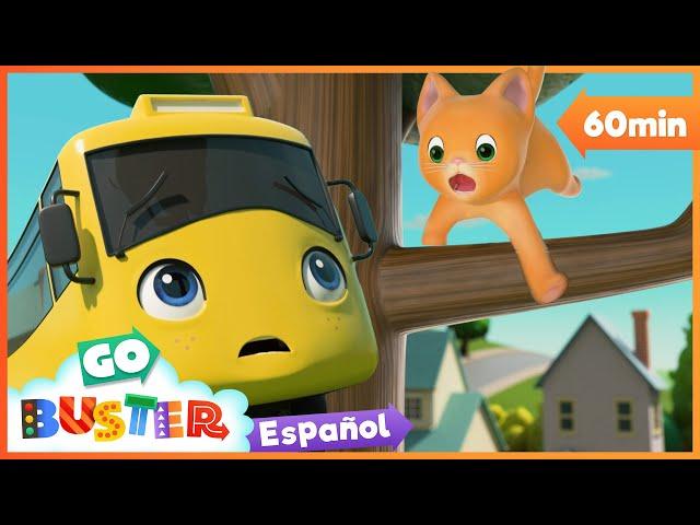 ¡Buster Salva al Gatito Bebé! |  1 HORA de Go Buster en Español  Dibujos para niños