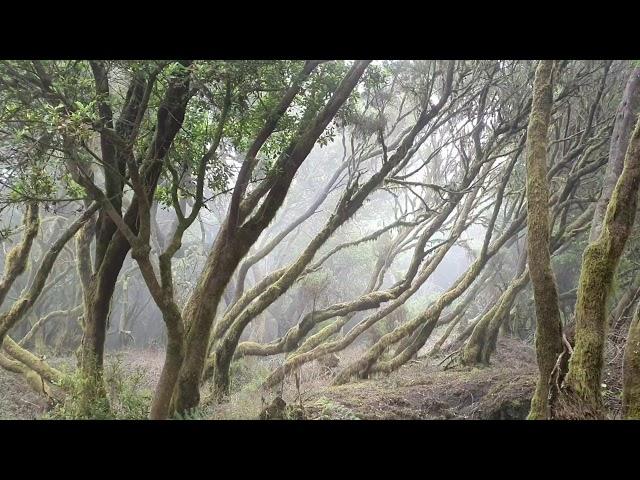 El Hierro, Canarias