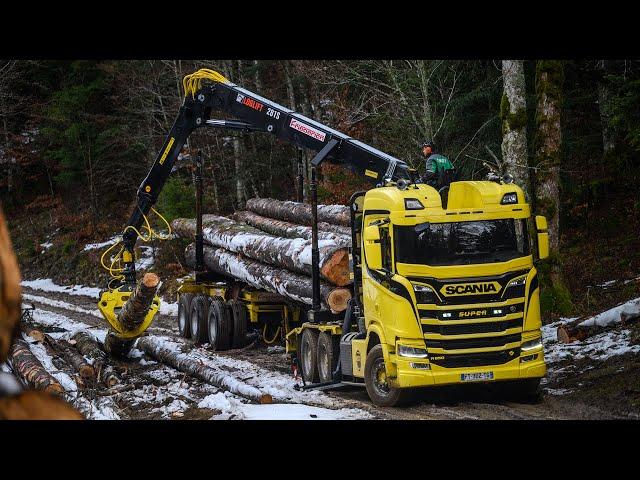 SCANIA R650 V8   GRUMIER FRIEDERICH (TRANSPORTS ACHARD)