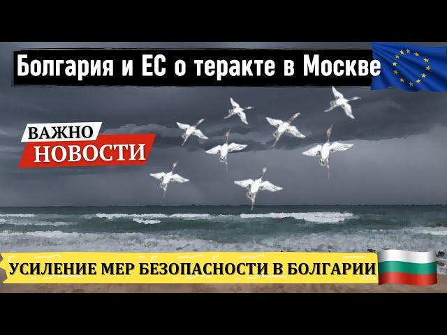 2024 Болгария реакция на теракт в Крокус Сити Холл в Москве. Сложности с визами и ВНЖ в Болгарии