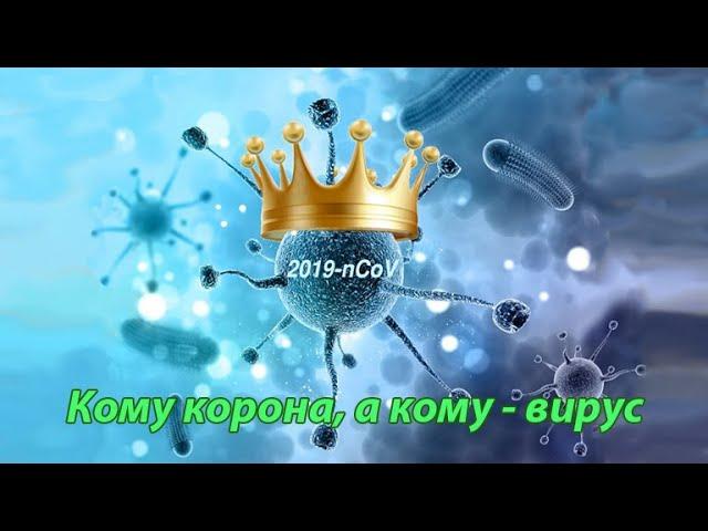 Кому корона, а кому – вирус. Автор-ведущий Виктор Ильин.