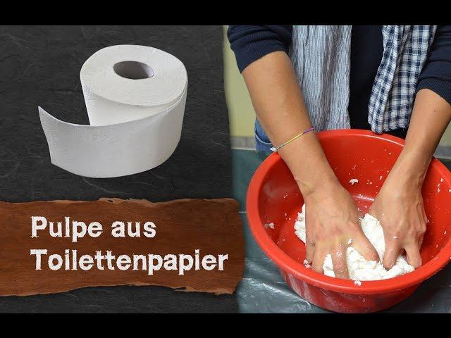 Pulpe (Pappmaché) aus Toilettenpapier selber machen