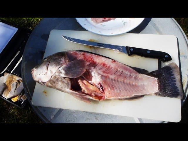 How to Fillet a Fish (quick and easy way)