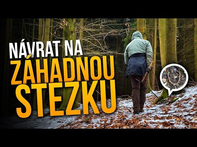 Návrat na pravěkou lesní stezku po 5 letech s novým detektorem!