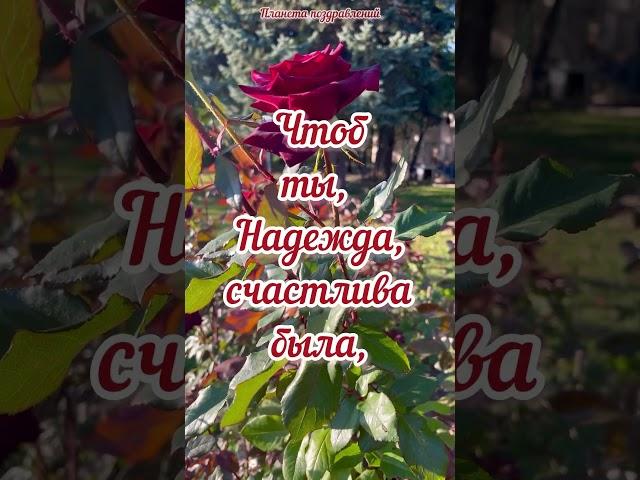 Надежда, с днем ангела! Поздравление для Надежды  #планетапоздравлений #сднемангеланадежды