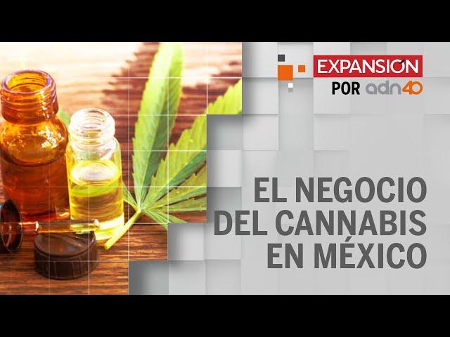 El fabricante de Mariguanol, CBD Life, quiere más productos con cannabis