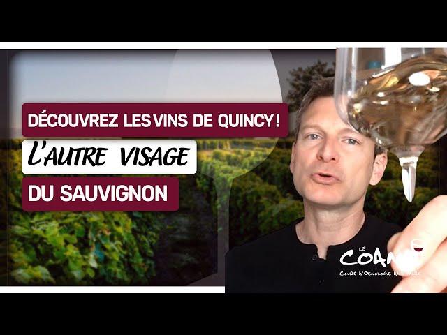 Découvrez les vins de QUINCY, le sauvignon méconnu de la Loire