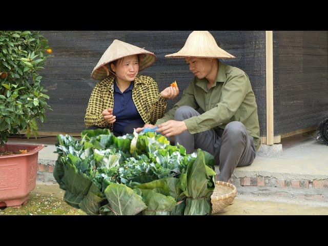 Villagers come to help grow vegetables, take care of animals