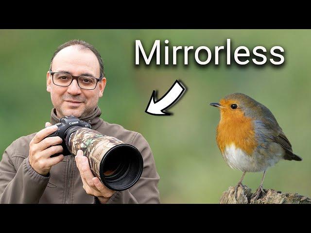 Wildlife Photography for Beginners: 5 Tips with a Mirrorless Camera