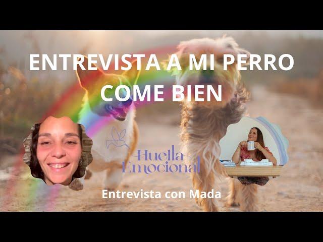 Laura Vidal - Huella Emocional entrevista a Mada de Mi perro come bien