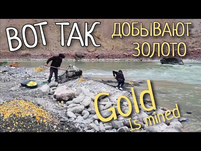 Как добывают золото, Река Заравшан 2021, Таджикистан. How gold is mined. Zarafshan river. Tajikistan
