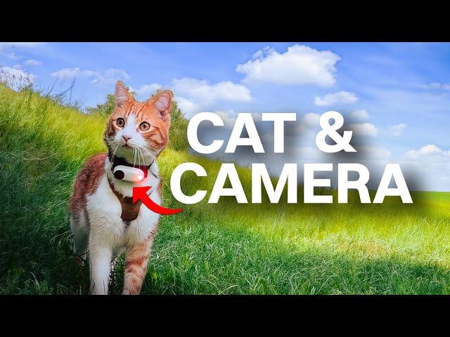 Cat + Camera = This Video | Ros' Vlog part #01