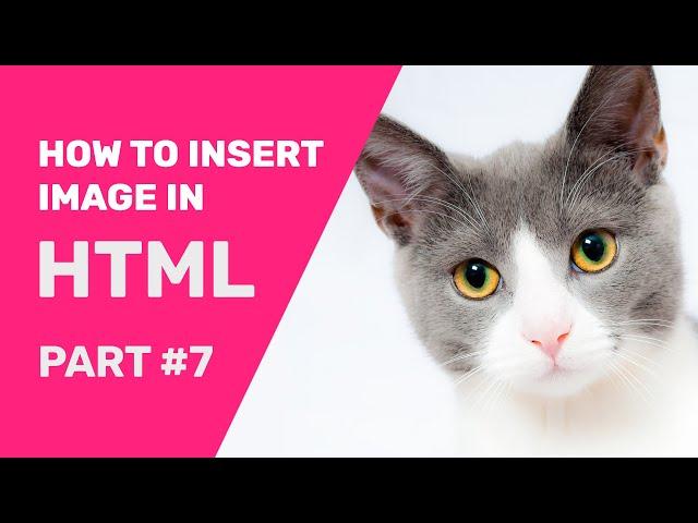 How To  Insert Image In HTML From Folder Using Notepad 2020