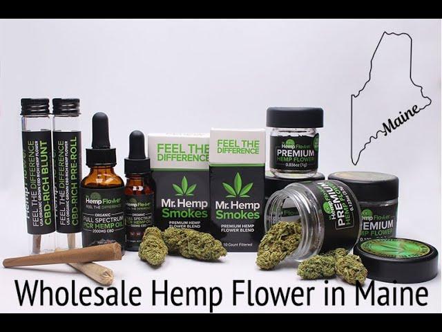 Wholesale Hemp Flower Maine - Buy Bulk Hemp Here