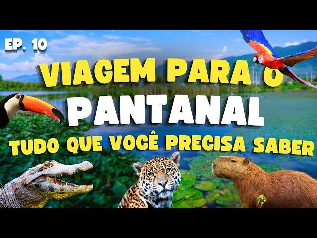 Viagem para o Pantanal | Guia Completo - Preços, dicas, hospedagens, passeios - Ep.10