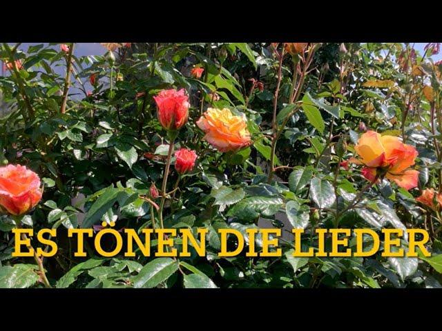 Es tönen die Lieder (mit Text) - Deutsches Volkslied aus dem 19. Jahrhundert / OLD GERMAN FOLKSONG