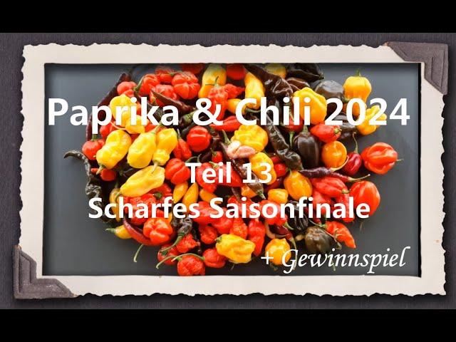 Paprika & Chili 2024 Part 13 - Spicy Season Finale