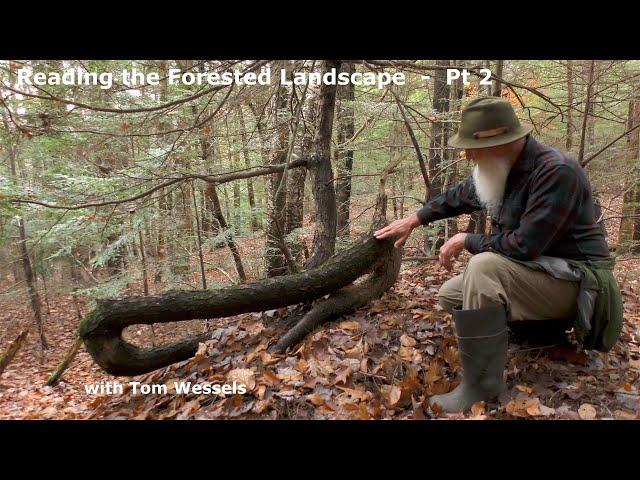 Tom Wessels: Reading the Forested Landscape, Part 2