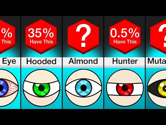 Comparison: Different Types Of Eyes