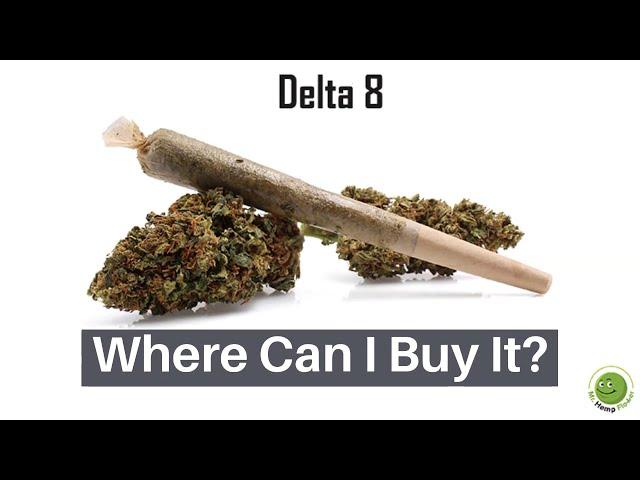 Delta 8 Flower - What Does It Feel Like and Where Can You Buy Some? Answer Here