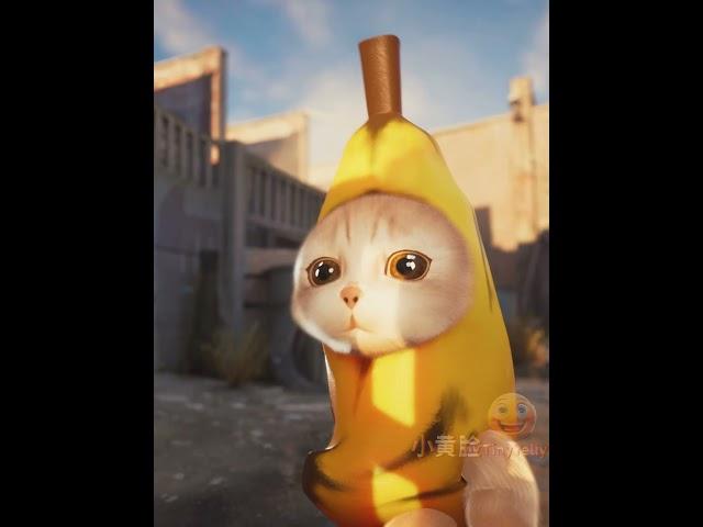 Cheems opened the door in the simplest way #bananacat #happycats #cheems #memes #bongocat