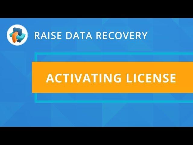 Raise Data Recovery: Activating licenses [SysDev Laboratories]