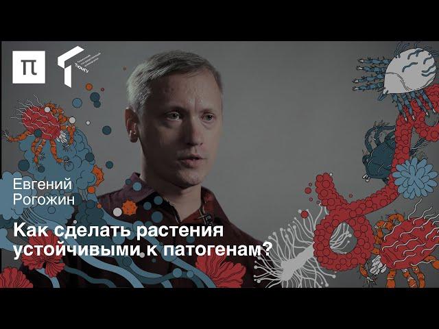 Пептиды в сельском хозяйстве — Евгений Рогожин / ПостНаука