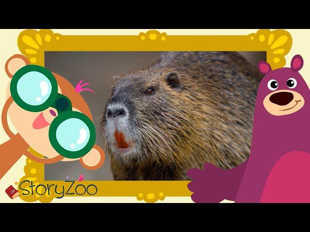 StoryZoo | StoryZoo in The Zoo | Learn About The Beaver! | Educational Videos for Children