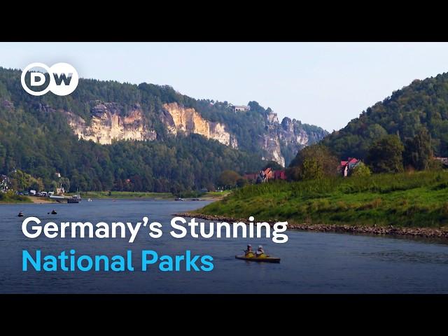 Top 7 National Parks in Germany That You Should Visit