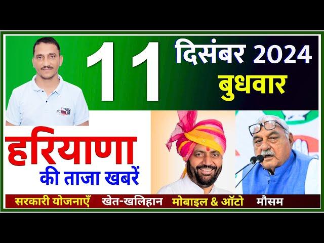 11 December 2024 Haryana News || हरियाणा की ताजा खबरें || Haryana Live News || CWB Hindi News